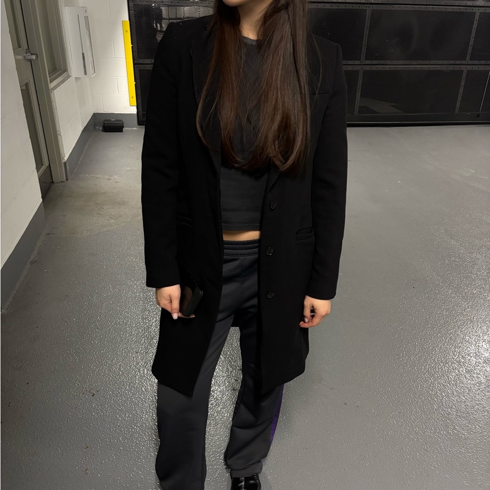 Aritzia Babaton Wool Blazer Coat